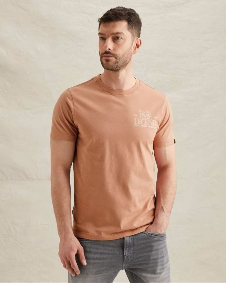 PTSS2604597 rose dawn 3031