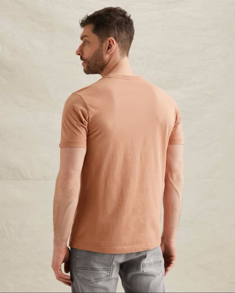 PTSS2604597 rose dawn 3031