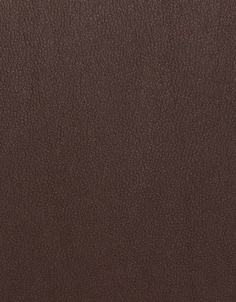 W1488 bruin 090