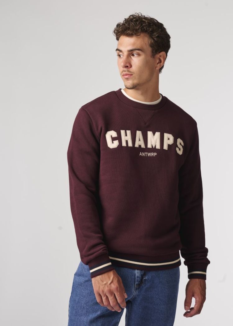 BSW577 burgundy 313