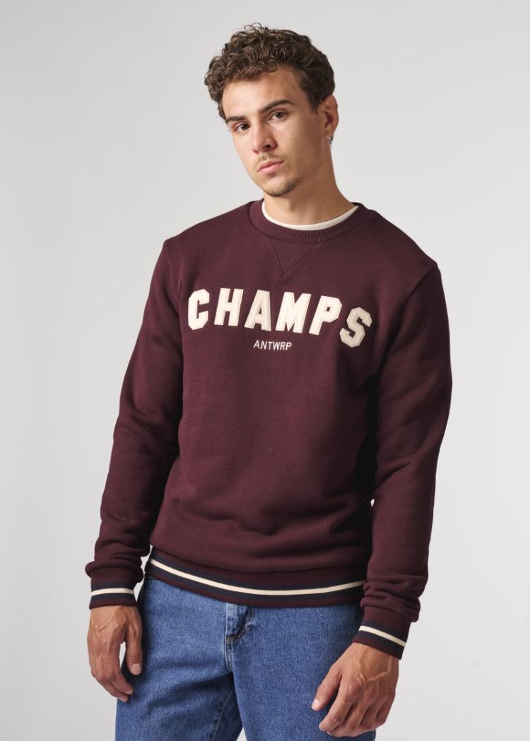 BSW577 burgundy 313