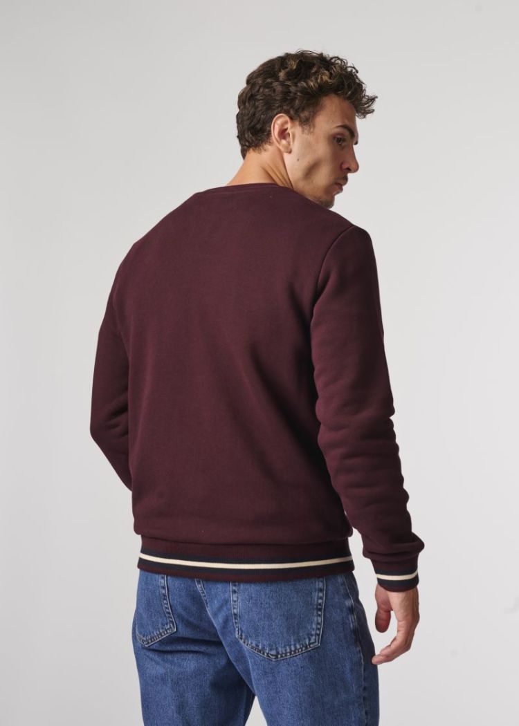 BSW577 burgundy 313