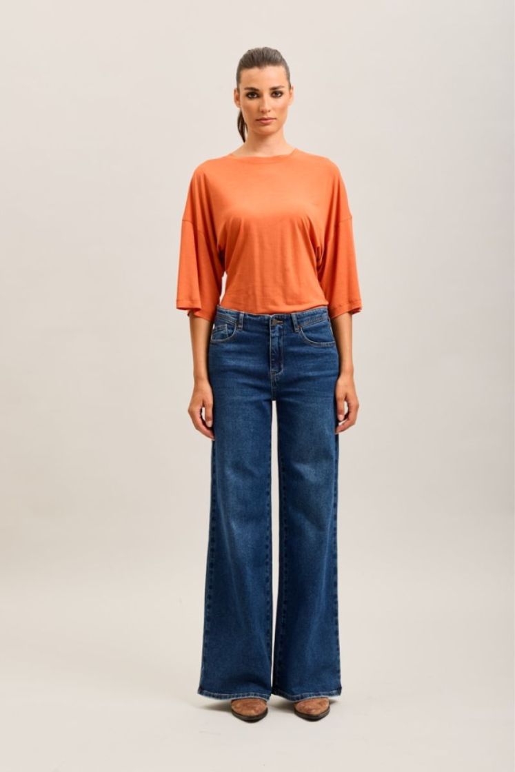 H2942 blauw